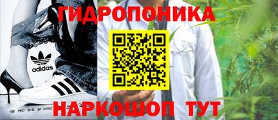 стафф Славянск-на-Кубани