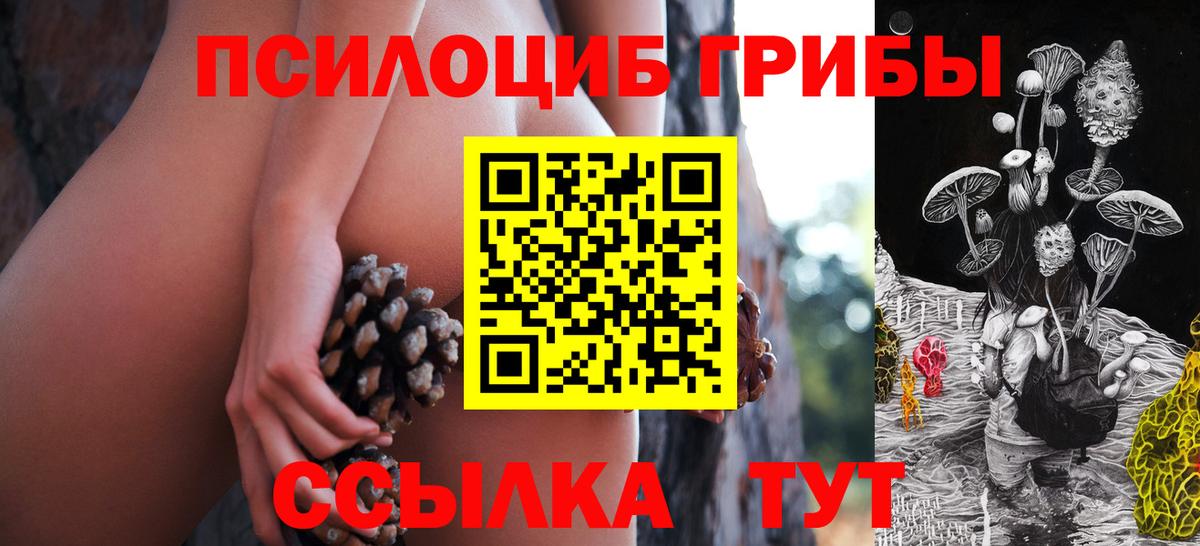 Псилоцибиновые грибы прущие грибы  Вход с VPN  Псилоцибиновые грибы ЛСД  продажа наркотиков  Прохладный 